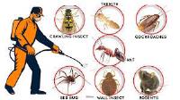 Pest Control Frankston image 3